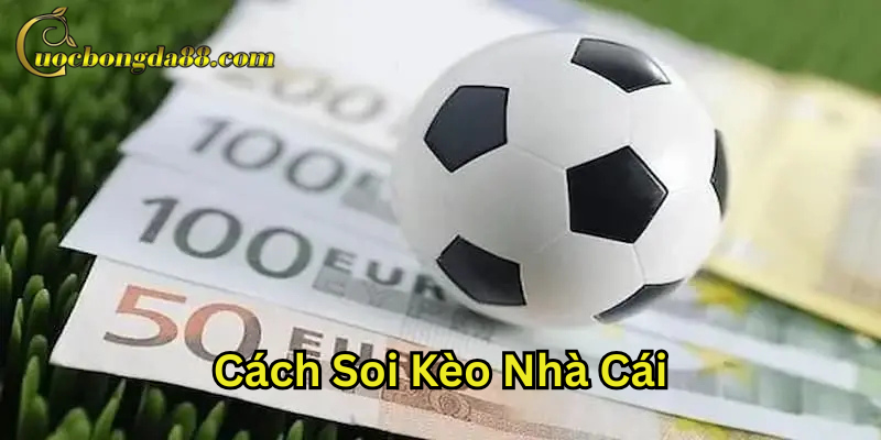 Cách Soi Kèo Nhà Cái là gì?