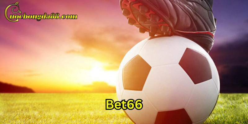 Lời khuyên khi tham gia Bet66
