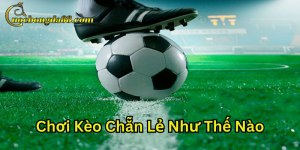 Lời khuyên từ chuyên gia cho cược thủ