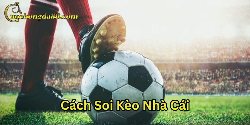 Tỷ lệ chấp rất quan trọng trong Cách Soi Kèo Nhà Cái