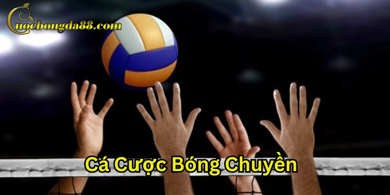Cá Cược Bóng Chuyền là gì?