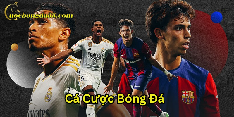 Cá Cược Bóng Đá là gì?
