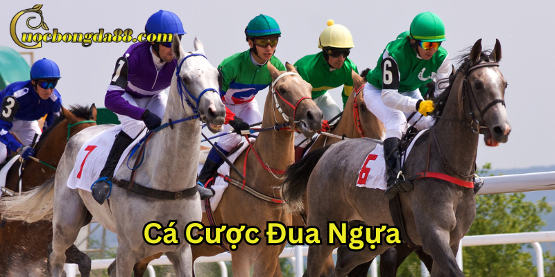 Cá Cược Đua Ngựa là gì?