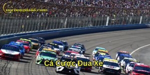 Cá Cược Đua Xe NASCAR