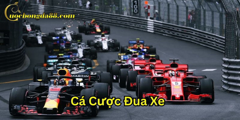 Cá Cược Đua Xe F1