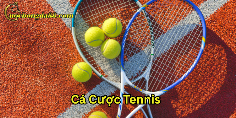 Cá Cược Tennis là gì?