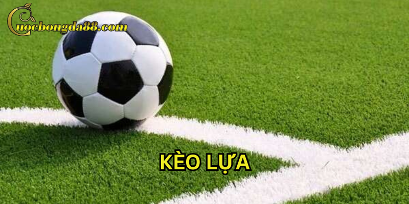 Kèo Lựa có gì đặc biệt