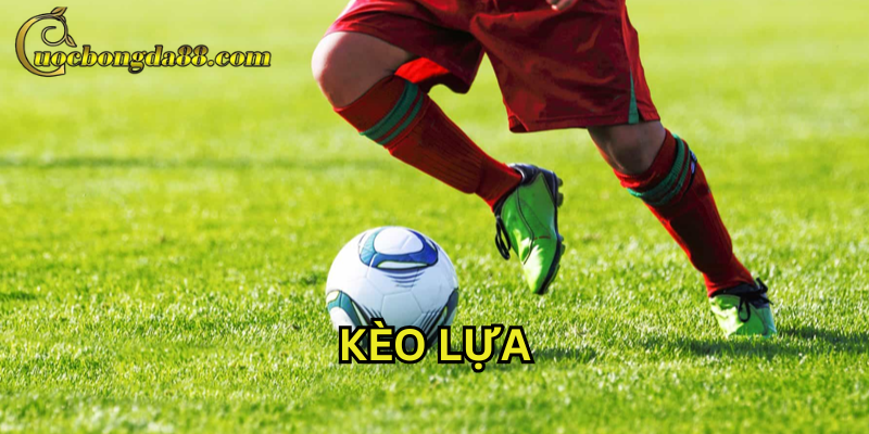 Kèo Lựa là gì?