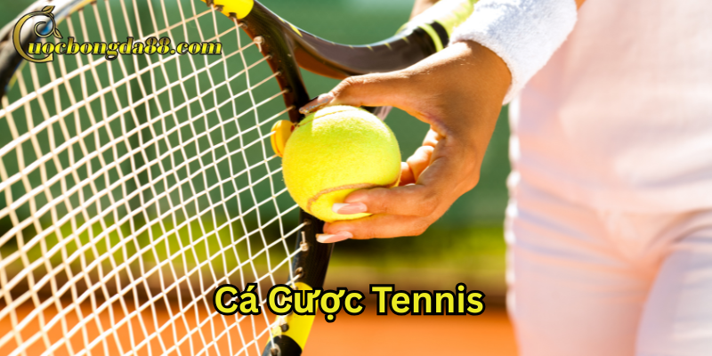 Lời khuyên khi chơi Cá Cược Tennis