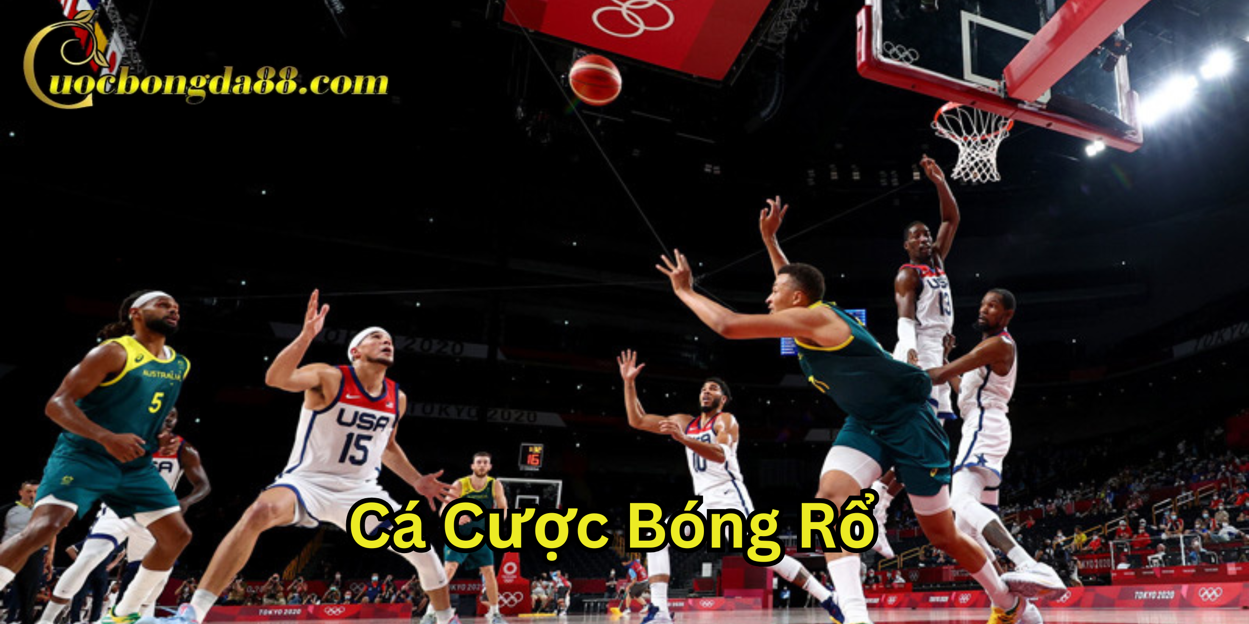 Lời khuyên vàng khi chơi Cá Cược Bóng Rổ