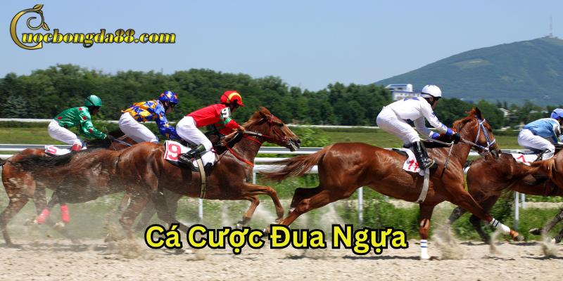 Lưu ý khi chơi Cá Cược Đua Ngựa