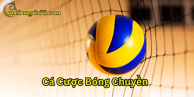 Mẹo chơi Cá Cược Bóng Chuyền luôn thắng