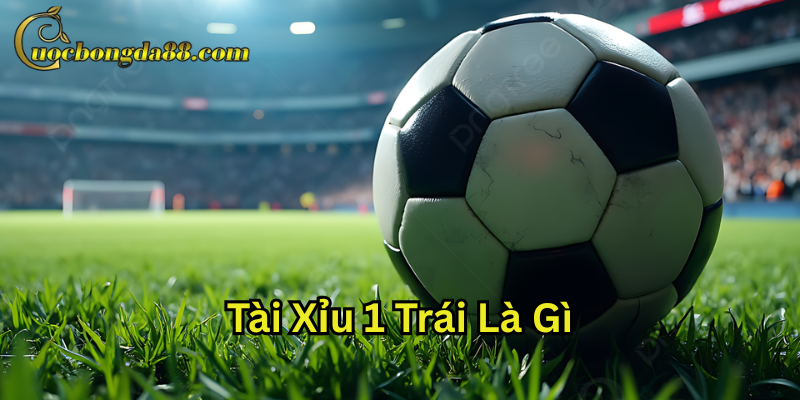 Tài Xỉu 1 Trái là gì?