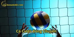 Yếu tố may mắn trong Cá Cược Bóng Chuyền