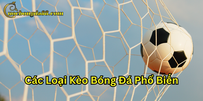 Các loại kèo bóng đá phổ biến là gì?