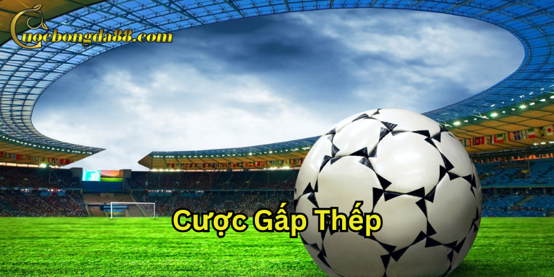 Cược Gấp Thếp là gì?