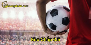 Kèo chấp 0.5 hoạt động như thế nào?