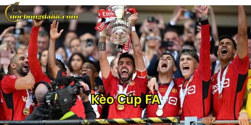 Kèo Cúp FA có gì hấp dẫn