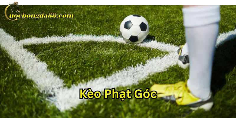 Cách soi Kèo Phạt Góc hiệu quả