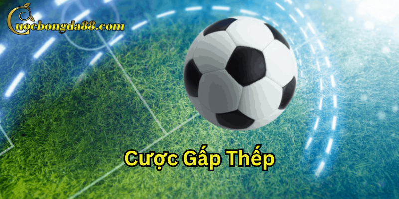 Khi nào nên sử dụng Cược Gấp Thếp