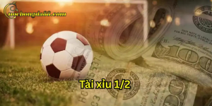Lưu ý về Tài xỉu 1/2