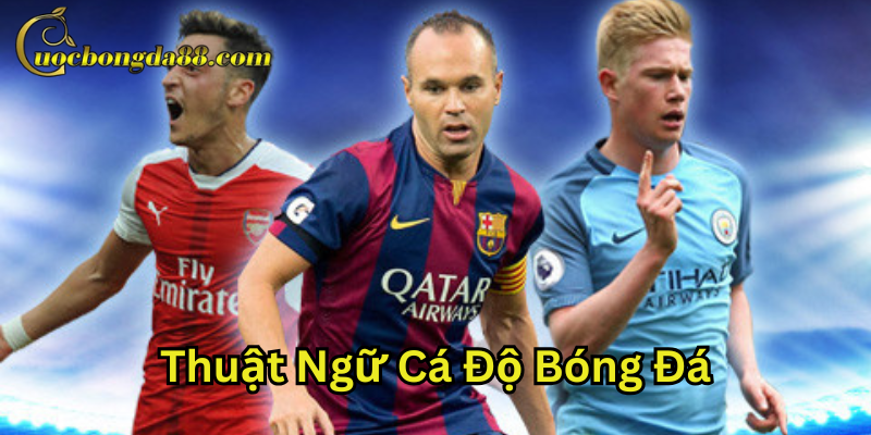Lý do người chơi cần phải hiểu rõ về thuật ngữ cá độ bóng đá