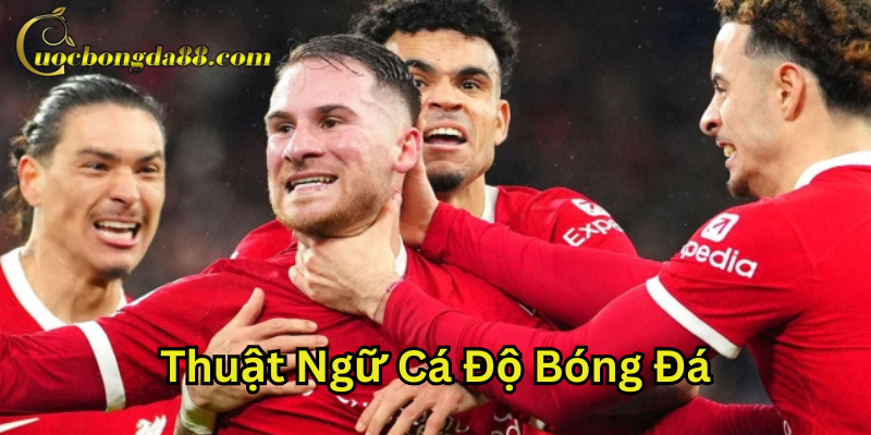 Một số lưu ý quan trọng về thuật ngữ cá độ bóng đá