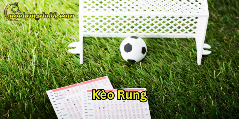 Những điều lưu ý về Kèo Rung