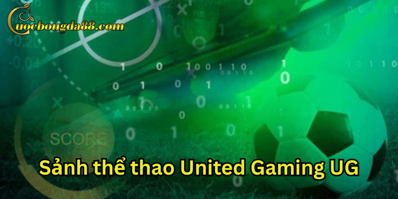Những loại hình cá cược phổ biến đang có trên sảnh thể thao United Gaming UG
