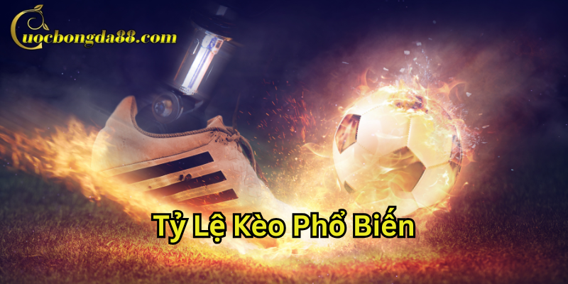 Sai lầm cần tránh khi soi Tỷ Lệ Kèo Phổ Biến