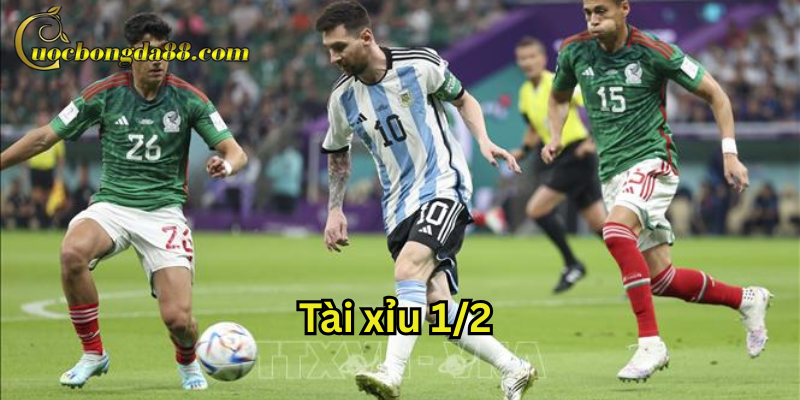 Tài xỉu 1/2 là gì?