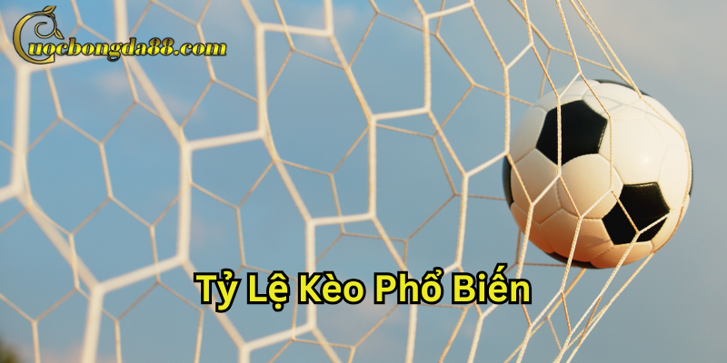 Tỷ Lệ Kèo Phổ Biến là gì?