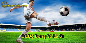 Cá Độ Bóng Cỏ Là Gì Trang Cá Cược Bóng Đá