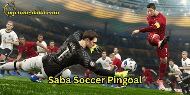 Cách chơi Saba Soccer Pingoal thắng lớn