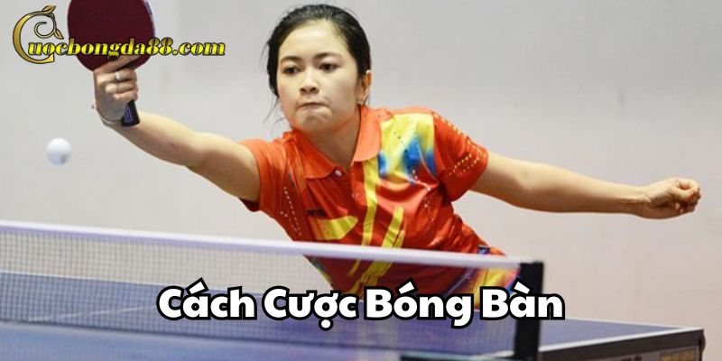 Cách Cược Bóng Bàn là gì?