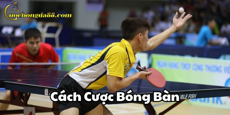 Cách Cược Bóng Bàn tổng số points