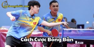 Cách Cược Bóng Bàn Trang Cá Cược Bóng Đá