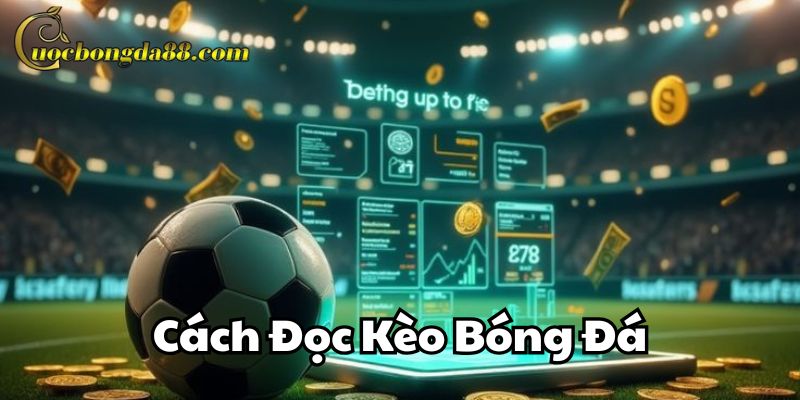 Cách Đọc Kèo Bóng Đá cơ bản