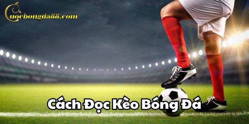 Cách Đọc Kèo Bóng Đá là gì?
