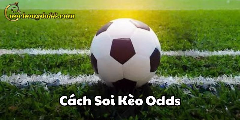 Cách Soi Kèo Odds là gì?