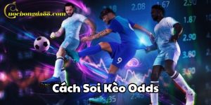 Cách Soi Kèo Odds Trang Cá Cược Bóng Đá
