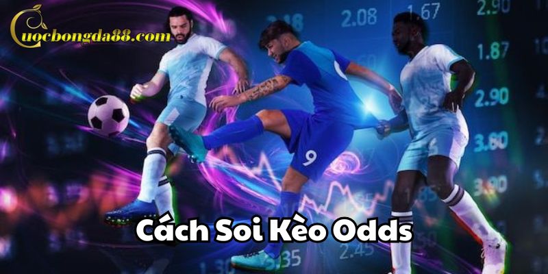 Cách Soi Kèo Odds Trang Cá Cược Bóng Đá