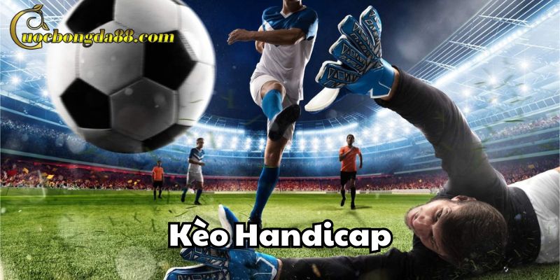 Cách tham gia Kèo Handicap