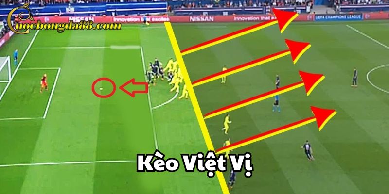 Kèo Việt Vị có mấy loại