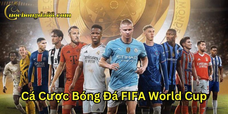Kinh nghiệm chơi Cá Cược Bóng Đá FIFA World Cup