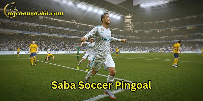 Kinh nghiệm chơi Saba Soccer Pingoal hiệu quả