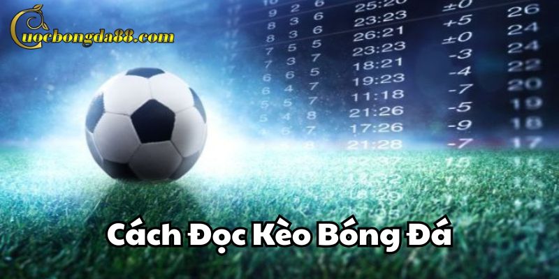 Mẹo hay trong Cách Đọc Kèo Bóng Đá
