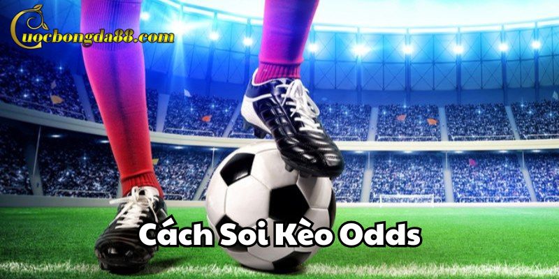 Odds có mấy tỷ lệ
