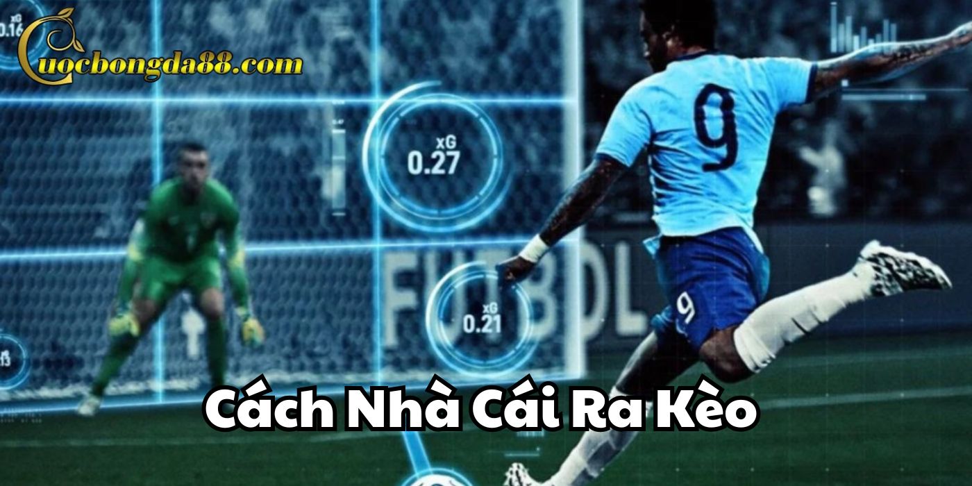 Quy luật trong Cách Nhà Cái Ra Kèo