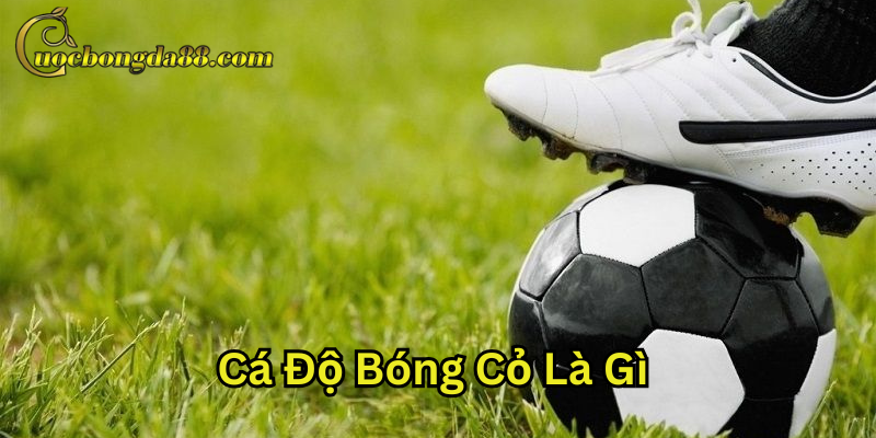 Thông tin về Cá Độ Bóng Cỏ Là Gì